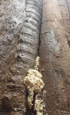 Piling Contractor for a Injection Waterproofing - 3_500h